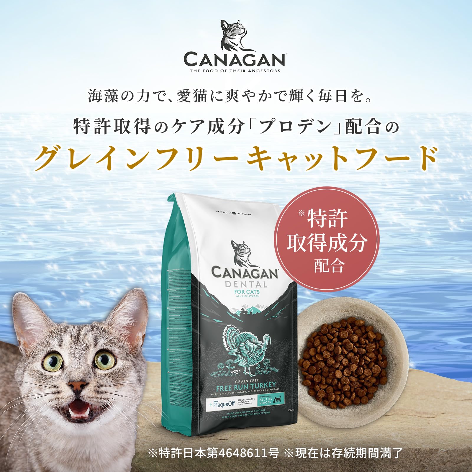 【カナガン】CANAGAN デンタルキャットフード（ターキー）2セット カナガン デンタル キャットフード 全猫種 全年齢対応